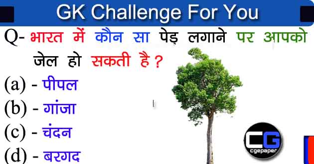 General Knowledge Most Important Question